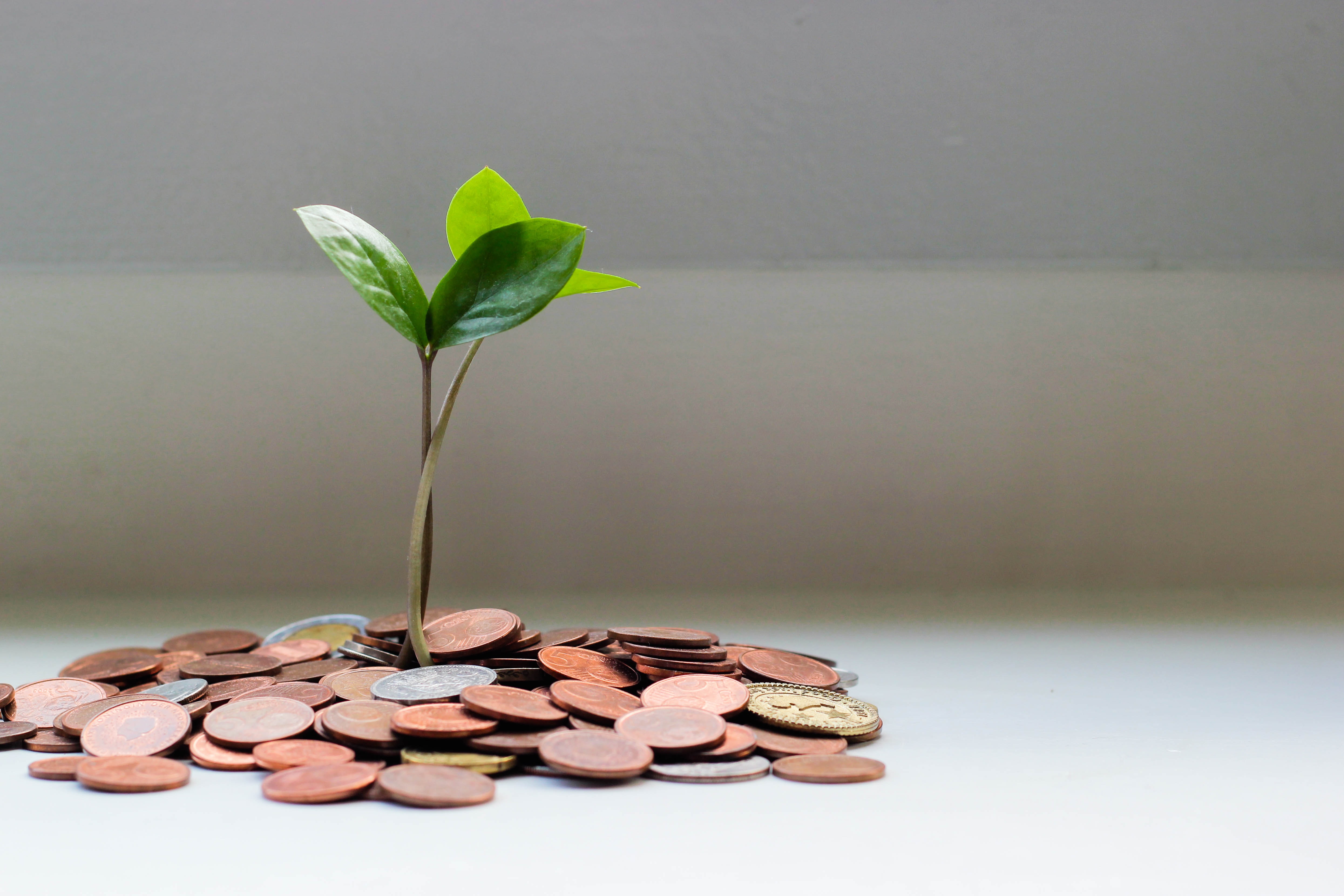 payday loans v high street loans