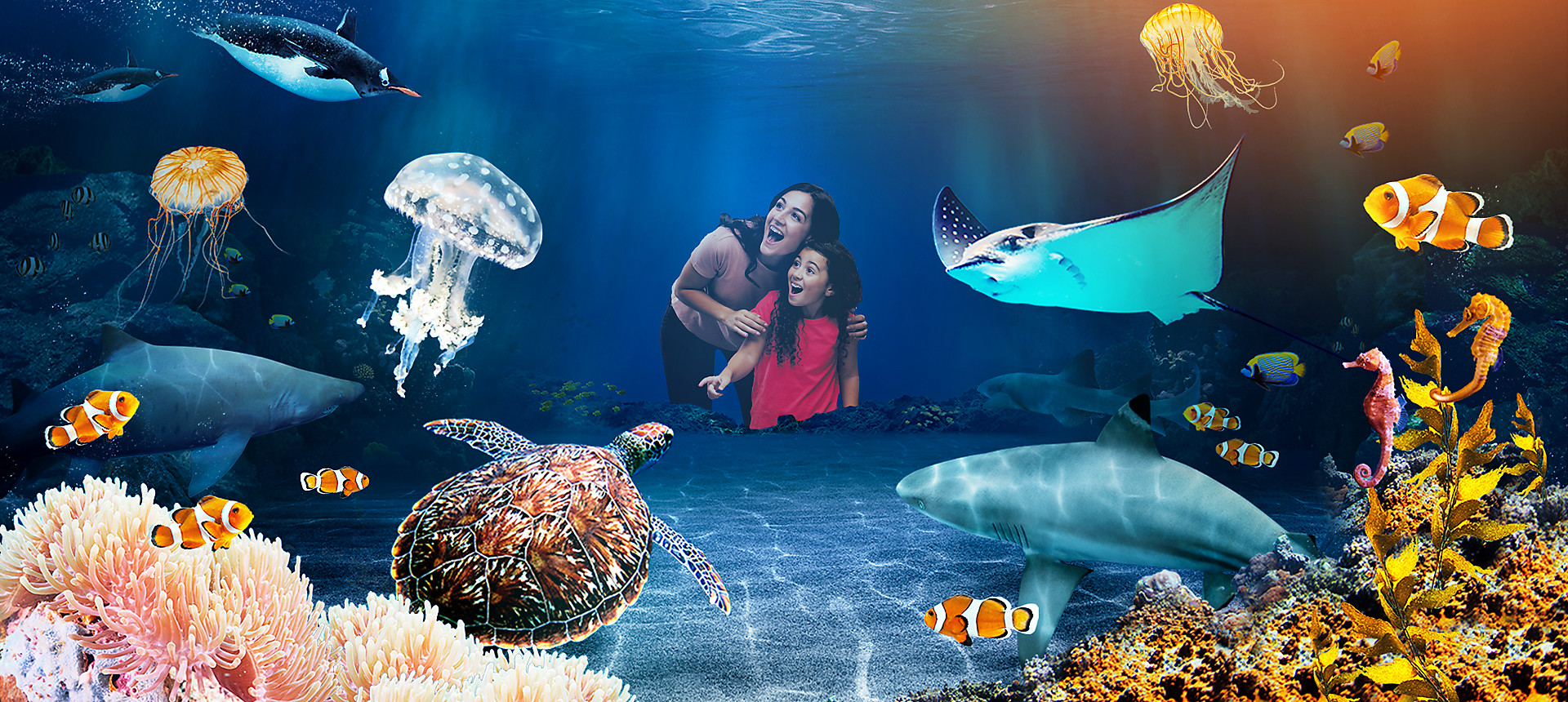 National SEA LIFE Centre Birmingham